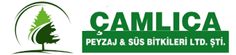 Peyzaj Ustası Peyzaj Garden
